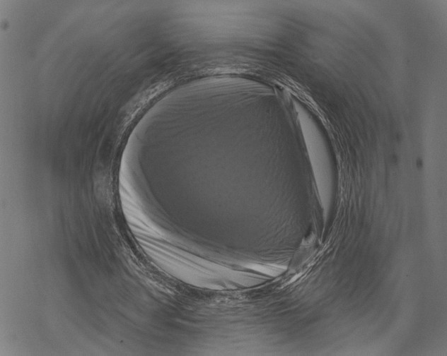 X0000067880386200605111831