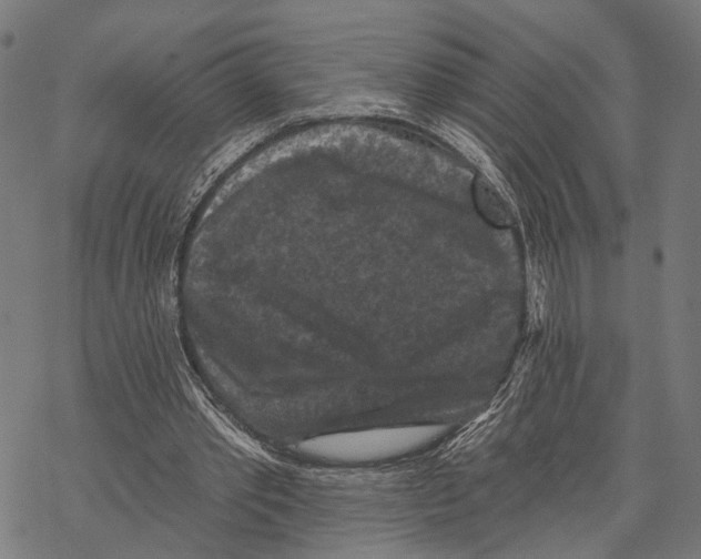 X0000067880389200605111831