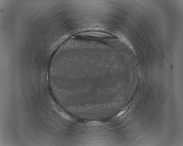 X0000067880397200605111830