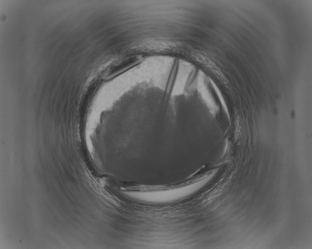 X0000067880399200605111830