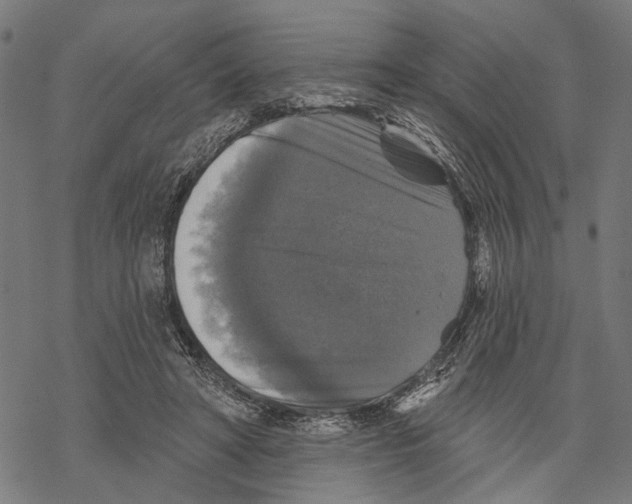 X0000067880402200605111830