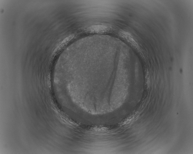 X0000067880403200605111830