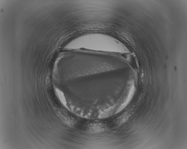 X0000067880408200605111830