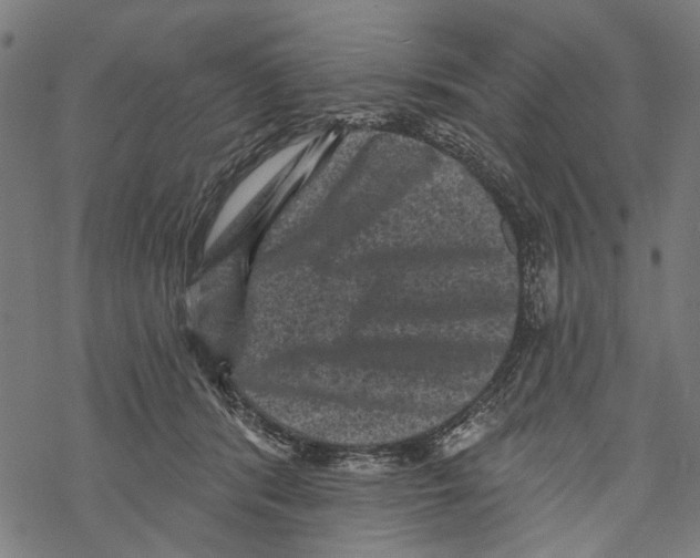 X0000067880416200605111830