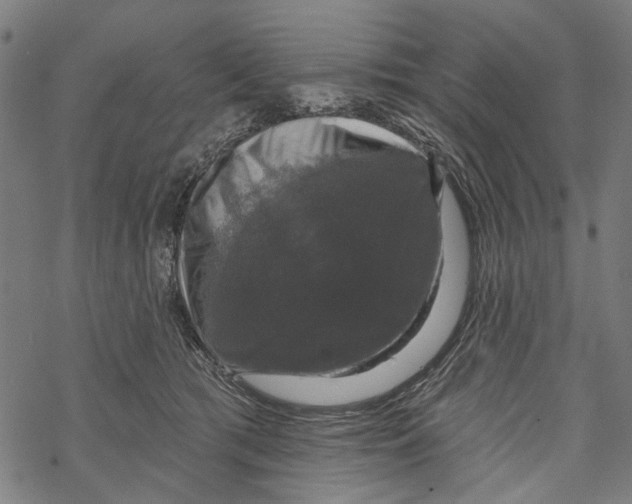 X0000067880417200605111830