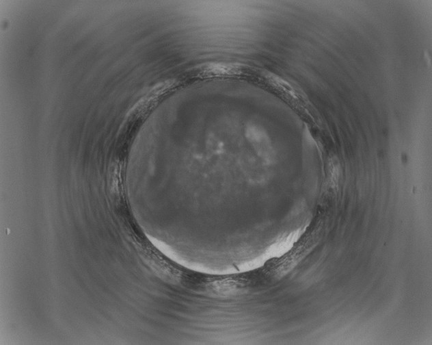 X0000067880423200605111830