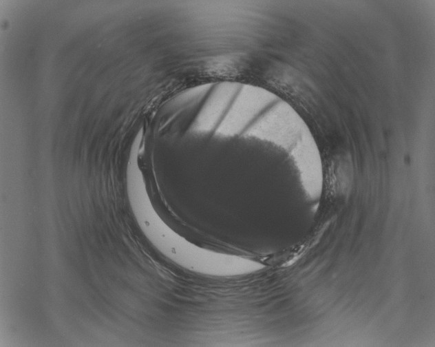 X0000067880424200605111830