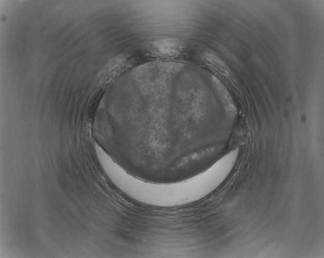 X0000067880425200605111830