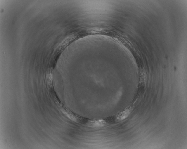 X0000067880427200605111830