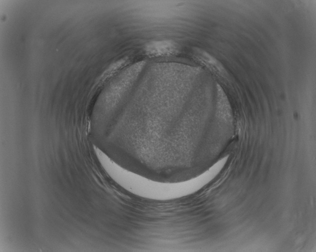 X0000067880429200605111830