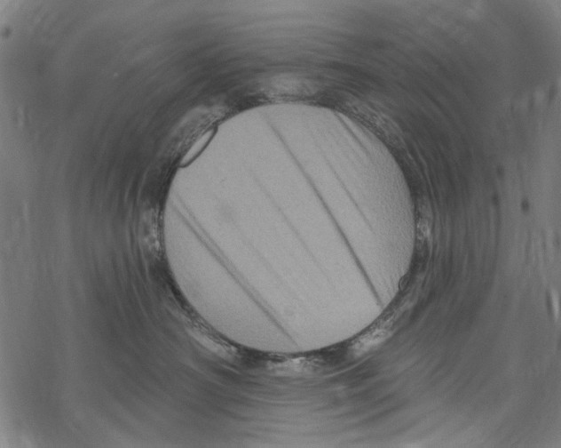 X0000067880430200605111830