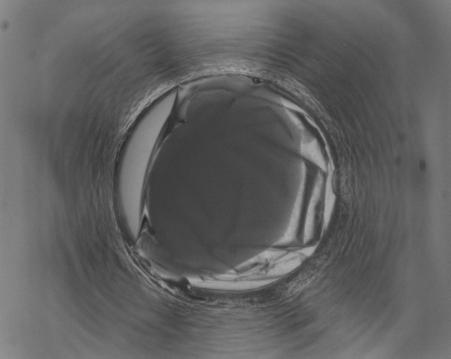 X0000067880434200605111829