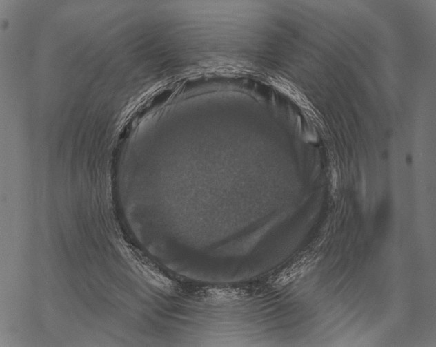 X0000067880442200605111829