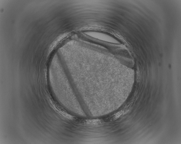 X0000067880446200605111829