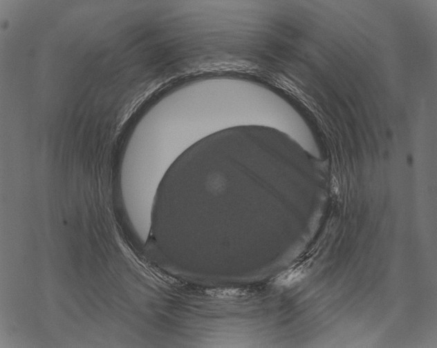 X0000067880448200605111829