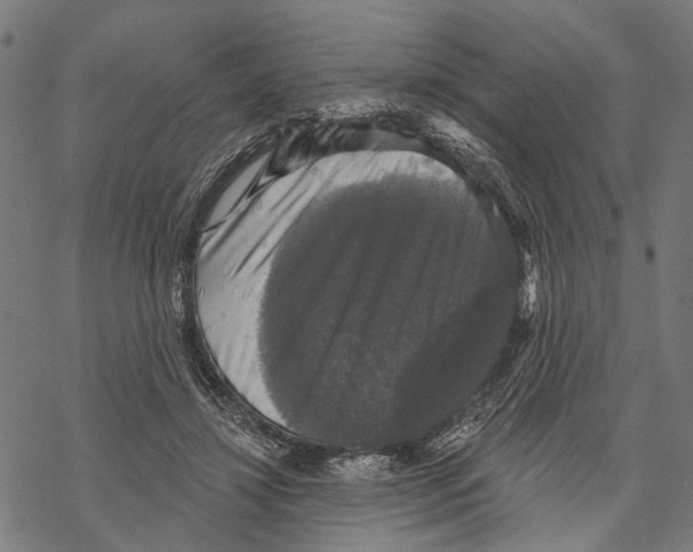 X0000067880452200605111829