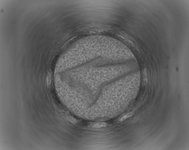 X0000067880463200605111830