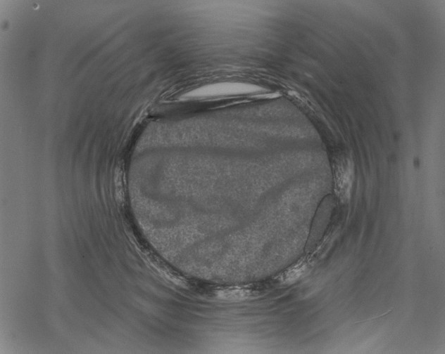 X0000067880470200605111830