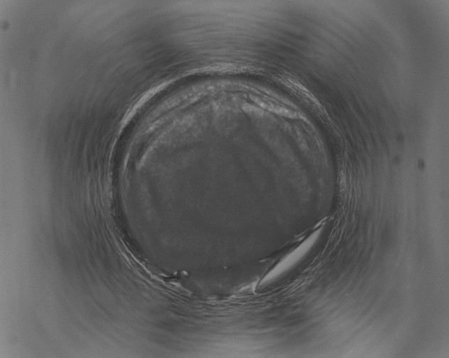 X0000067880484200605111829