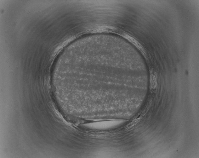 X0000067880485200605111829