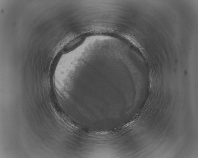X0000067880488200605111829