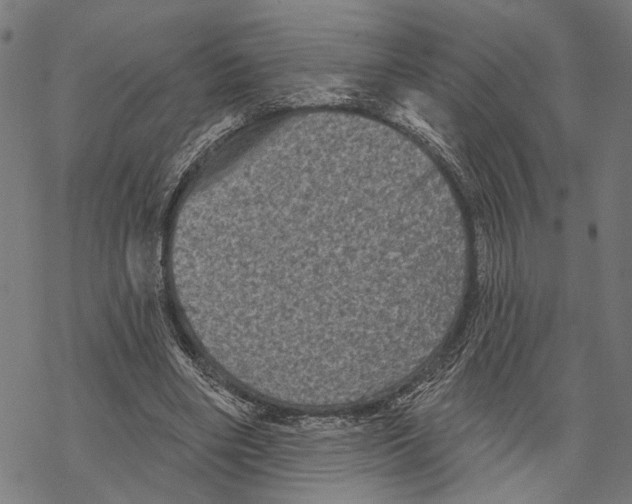 X0000067880490200605111829