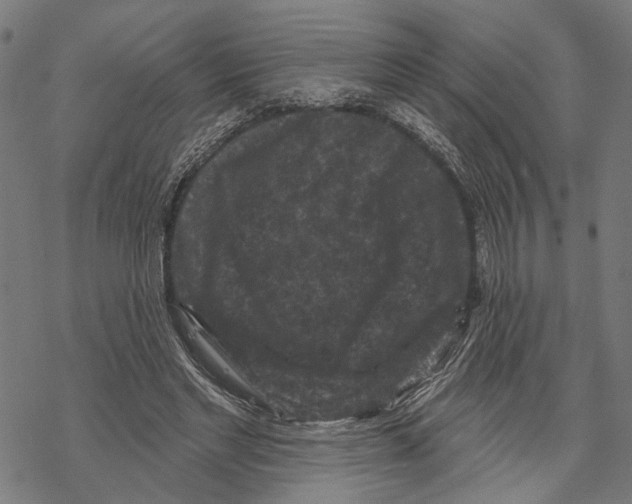 X0000067880493200605111829