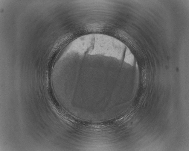 X0000067880494200605111829