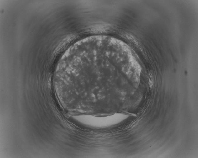 X0000067880495200605111829