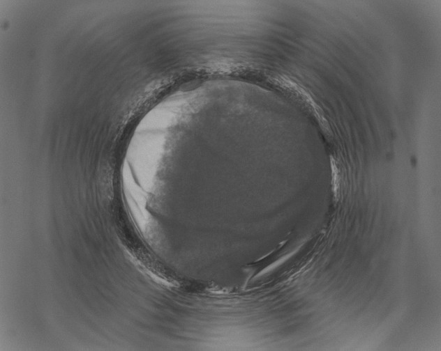 X0000067880496200605111829