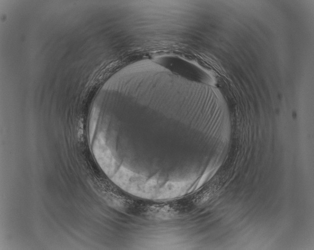 X0000067880502200605111829