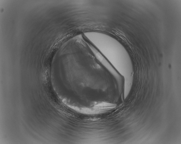 X0000067880503200605111829