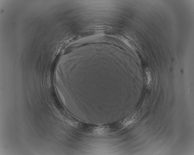 X0000067880504200605111829