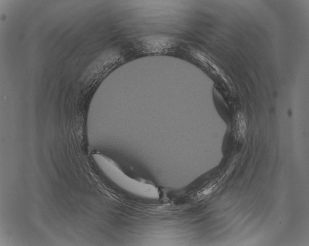 X0000067880505200605111829