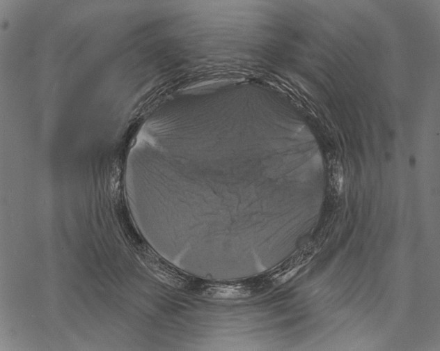 X0000067880507200605111829