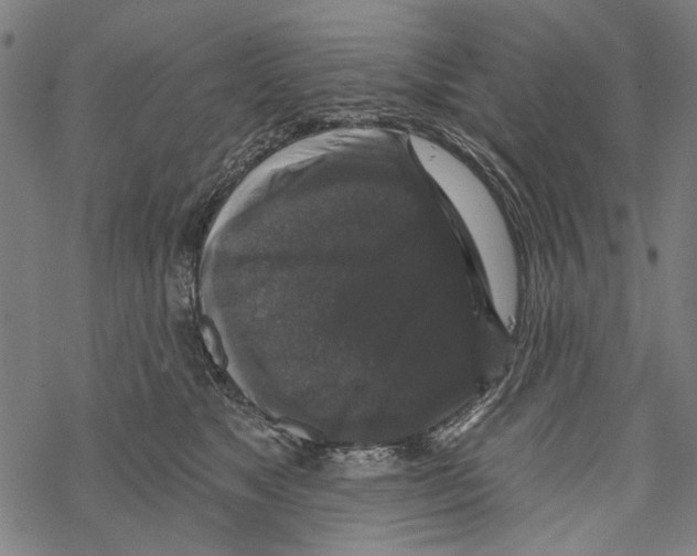 X0000067880517200605111828