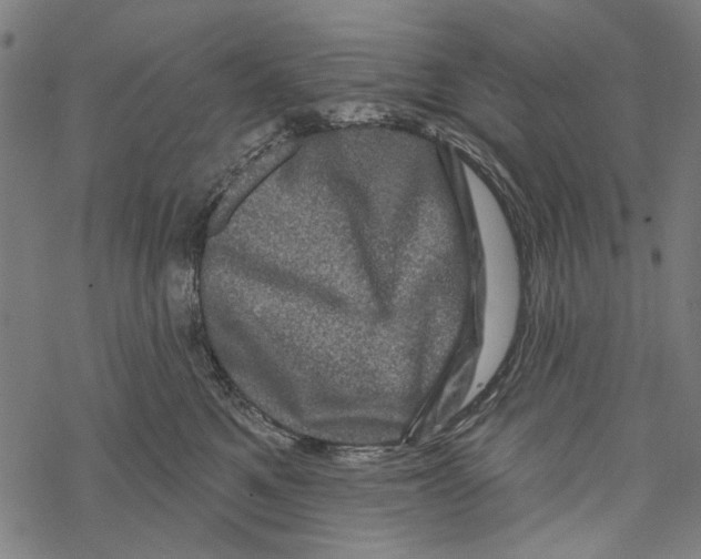 X0000067880521200605111828