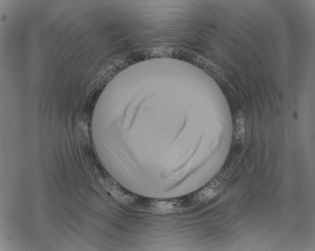 X0000067880522200605111828