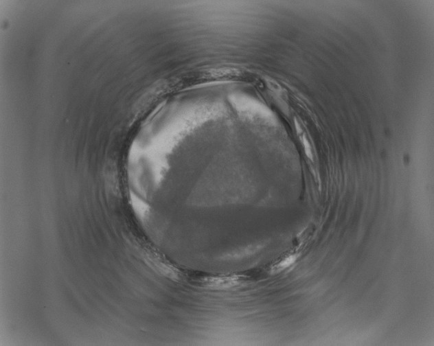 X0000067880524200605111828