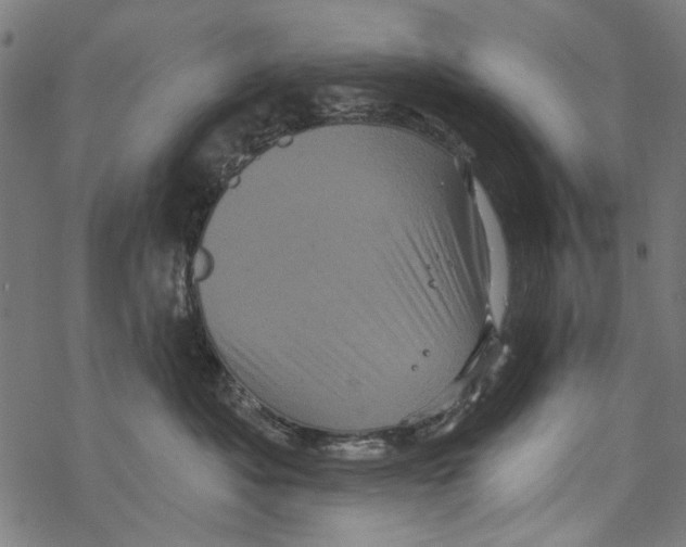 X0000067880525200605111828