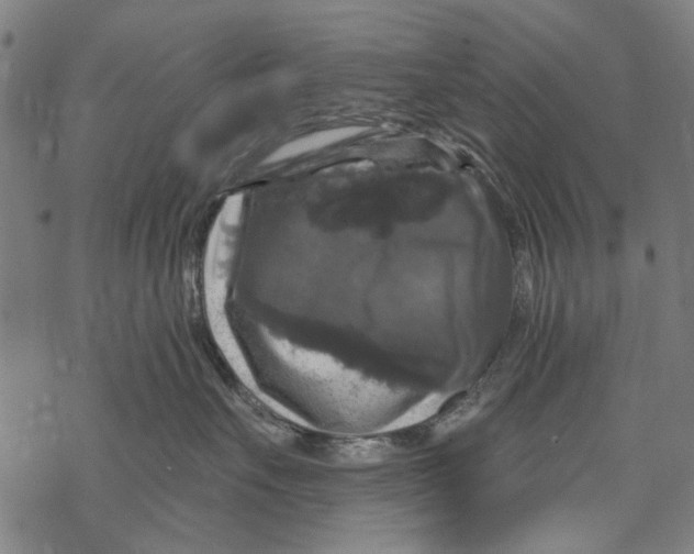X0000067880527200605111828
