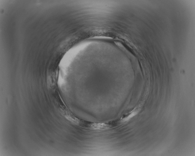 X0000067880528200605111828