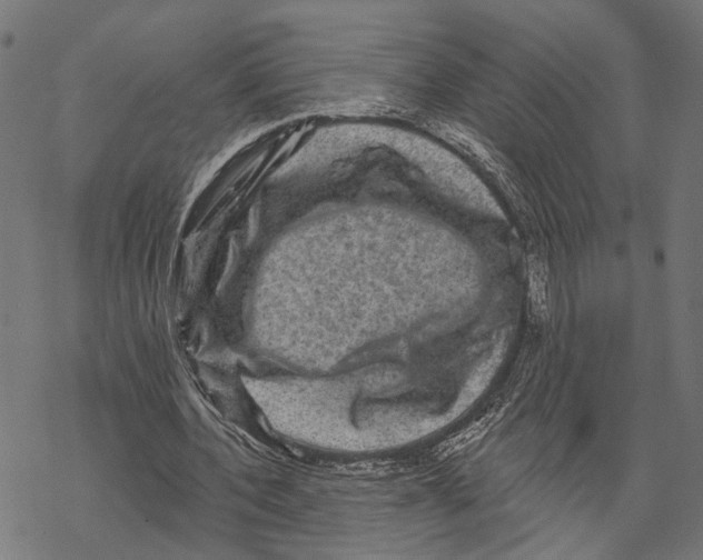X0000067880532200605111828
