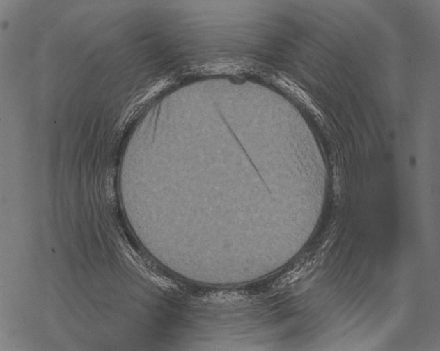 X0000067880537200605111828