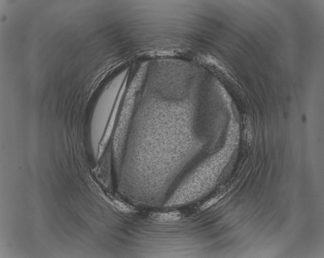 X0000067880548200605111828