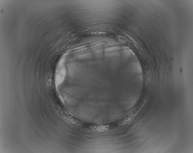 X0000067880553200605111828
