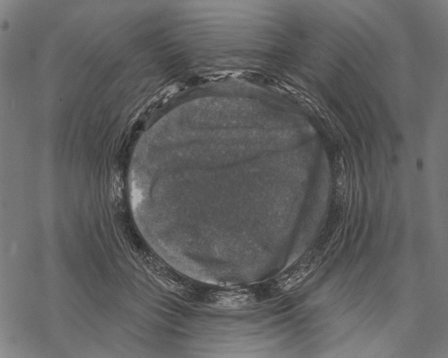 X0000067880555200605111828