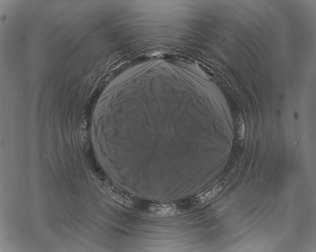 X0000067880559200605111828