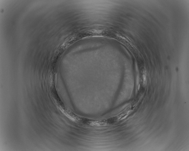 X0000067880568200605111828