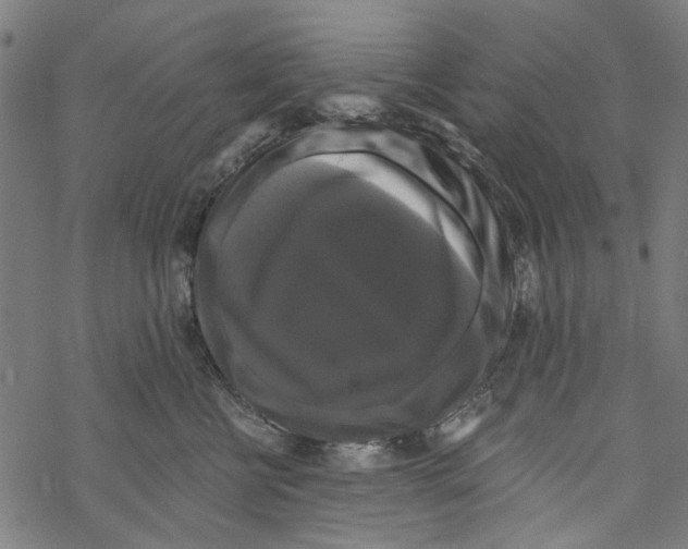 X0000067880570200605111828
